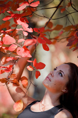 girl in the red leaves in autumn