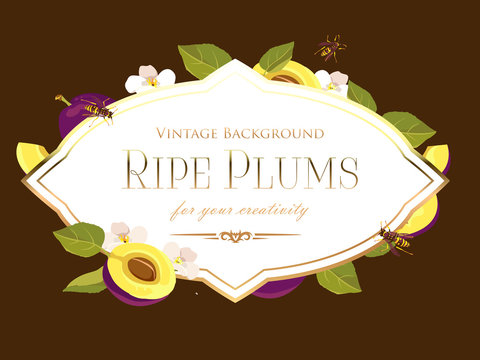 vintage plum background