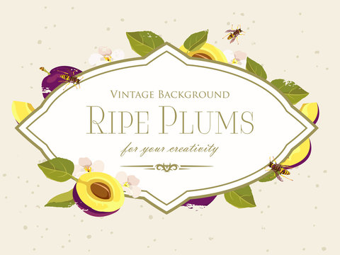 vintage plum background