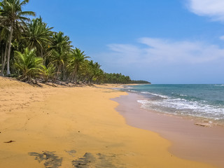 The wild and remote Playa Rincon near Las Galeras in Samana Peninsula. The spectacular Playa Rincon...