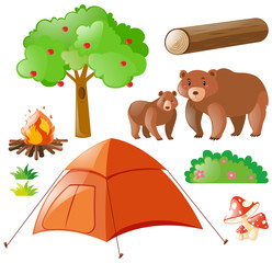Fototapeta premium Bears and camping elements