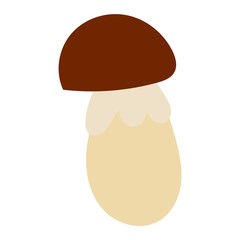 Mushrooms Illustration on white background