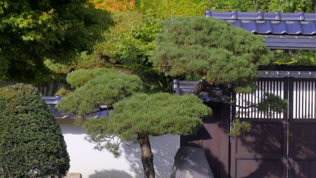 Japanischer Garten Tor Anlage mit Park