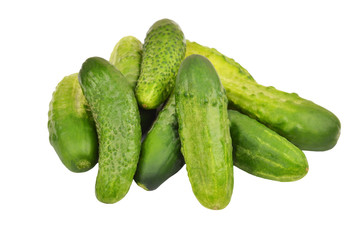 Green cucumber gherkin