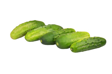 Green cucumber gherkin