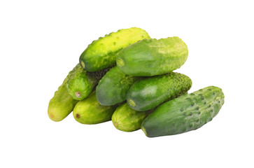 Green cucumber gherkin