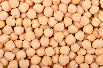 Close up of chickpea