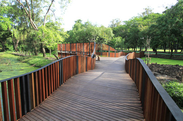 Fototapeta na wymiar Wooden walkway in the park