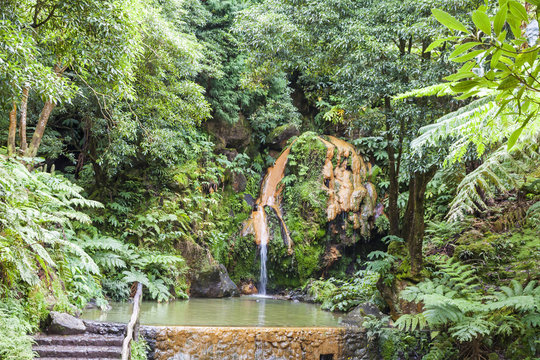 Natural Park Caldeira Velha on Sao Miguel island, Azores