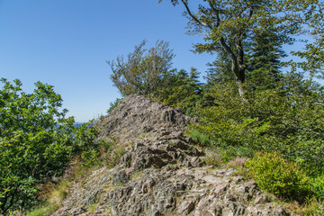 Gratweg und Landschaft auf dem Karlsruher Grat; Schwarzwald Sommer