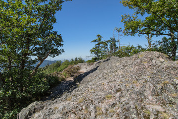 Gratweg und Landschaft auf dem Karlsruher Grat; Schwarzwald Sommer