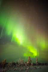 Northern Lights in Lapland, Finland.