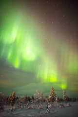 Fototapeta na wymiar Northern Lights in Lapland, Finland.