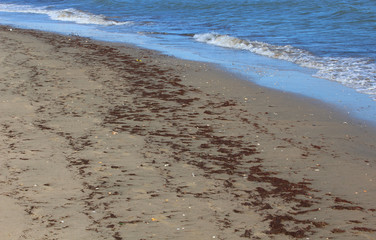 photo of sand background