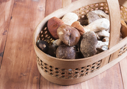 The basket with the collected mushrooms