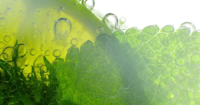 Sparkling bubbles water with a slice of lime. 4K macro footage, shot on RED