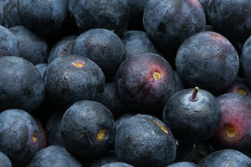 Blueberries
