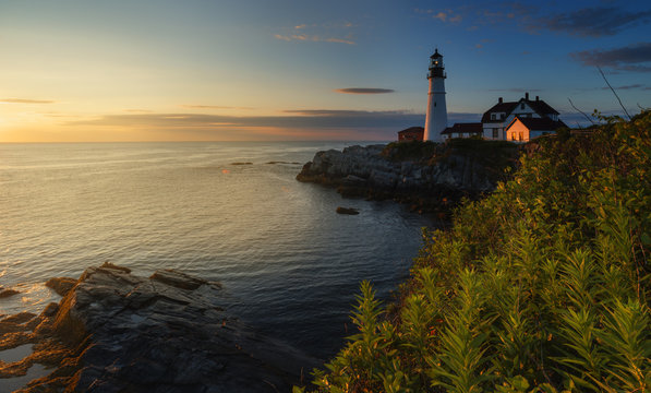 The First Light