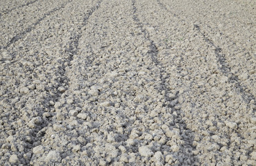Soil