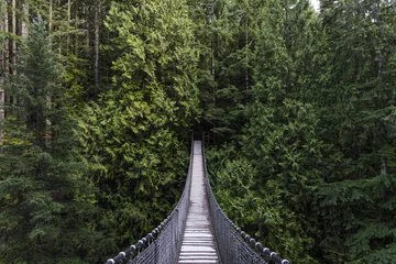 Foto op Plexiglas Olijfgroen Hangbrug in het bos. Groenblijvend. De natuur van Vancouver. Stille Noordwesten. Natuur. Het landschap van Vancouver.