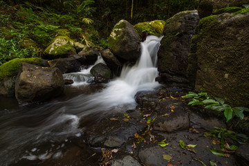 Obraz premium Gold Coast and Tweed Coast hinterland waterfalls