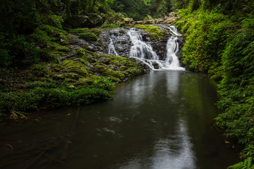 Fototapeta premium Gold Coast and Tweed Coast hinterland waterfalls