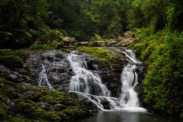 Fototapeta premium Gold Coast and Tweed Coast hinterland waterfalls