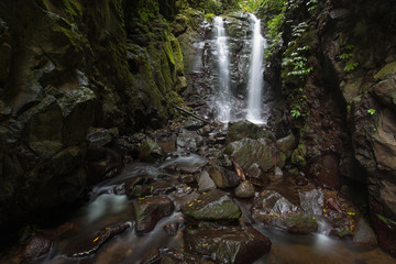 Gold Coast and Tweed Coast hinterland waterfalls