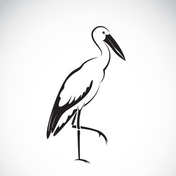 Vector of stork design on white background. Stork Icon.