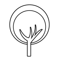 tree plant forest monochrome isolated icon vector illustration design