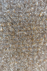 Silver Bodhi for pray, traditional, at Wat Rong Khun temple, Thailand