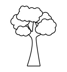 tree plant forest monochrome isolated icon vector illustration design