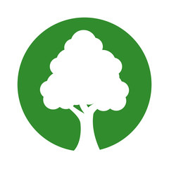 tree plant forest isolated icon vector illustration design