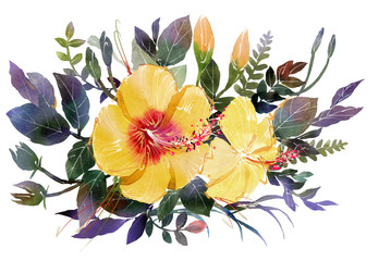 Watercolor painting bouquets Flower Hibiscus Place yellow on a white background.