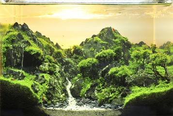 aquarium © chin797