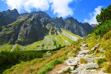 Fototapeta na wymiar Beautiful summer mountain landscape in Western Carpathians, Hiking trail in Mengusovska Valley in Vysoke Tatry (High Tatras), Slovakia.