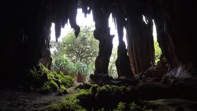 Limestone cave exit with stalactites and stalagmites, Rurutu island, south Pacific, Austral archipelago, French Polynesia
