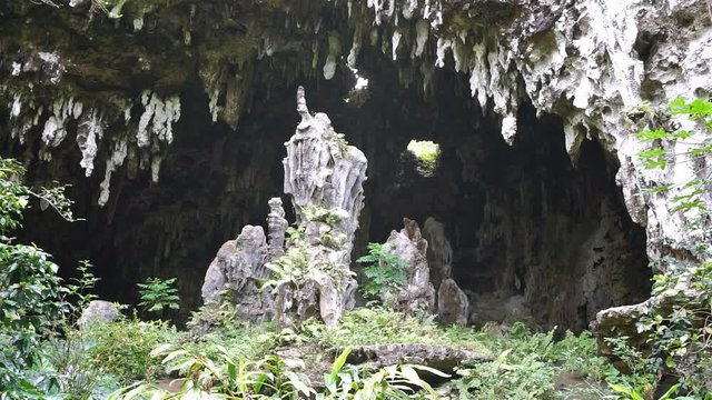 Large limestone cavern entry with stalactites and stalagmites, Ana aeo, Rurutu island, south Pacific, Austral archipelago, French Polynesia

