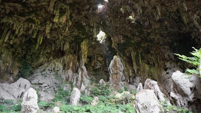 Large limestone cavern with holes in its ceiling , Ana aeo, Rurutu island, south Pacific, Austral archipelago, French Polynesia
