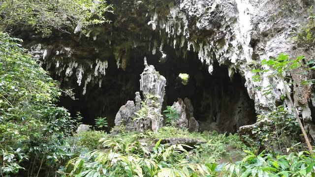 Entrance of a large limestone cavern with stalactites and stalagmites, Ana aeo, Rurutu island, south Pacific, Austral archipelago, French Polynesia
