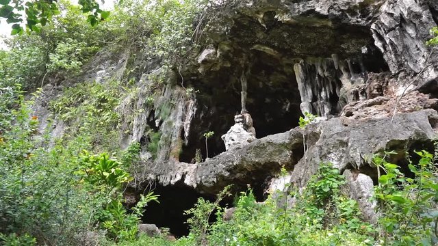 Eroded limestone cliff with cavern entry, panning view, Rurutu island, south Pacific, Austral archipelago, French Polynesia
