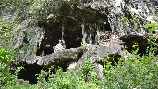 Eroded limestone cliff with cavern entrance on Rurutu island, south Pacific, Austral archipelago, French Polynesia
