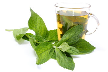 Fresh green mint and cup of beverage on white background