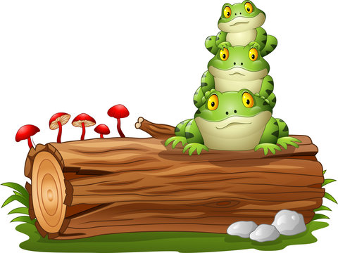 Cartoon Frog Stacked On Tree Log