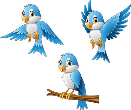 Bird Cartoon Flying Images – Browse 120,394 Stock Photos, Vectors, and  Video | Adobe Stock