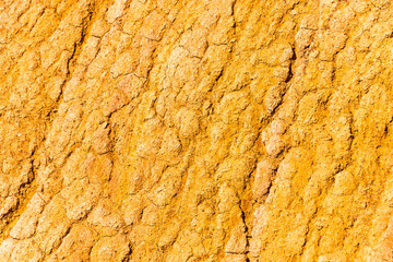 The beautiful texture of dry ground.