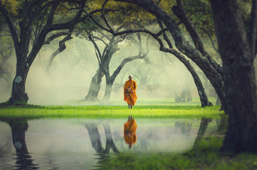 Monk hike in deep forest reflection with lake, Buddha Religion c