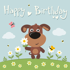 Happy birthday! Cute puppy dog with flower camomile on flower meadow. Birthday card.