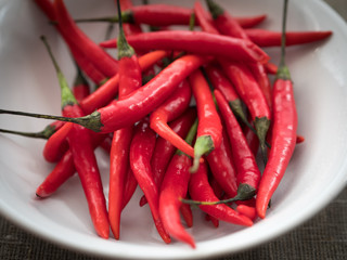 Red hot chili pepper on a dark background.
