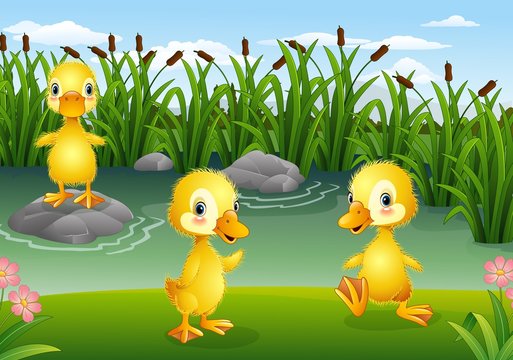 Cartoon little ducklings playing in the pond